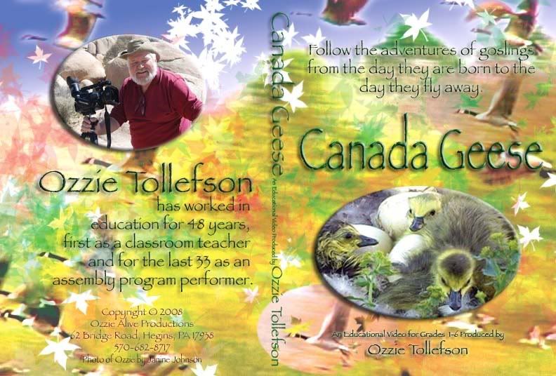 CanadaGeeseCover.jpg picture by JanineJ