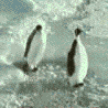 penguinanger