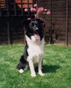 Image hosted by Photobucket.com