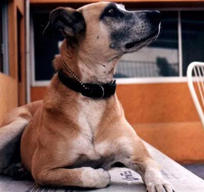 Image hosted by Photobucket.com