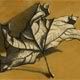 034 - Draw a fall leaf