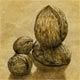 152 - Draw a nut