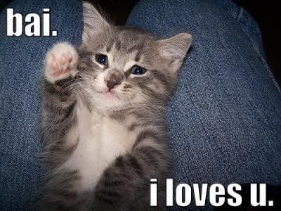 Love You Cat. Tara