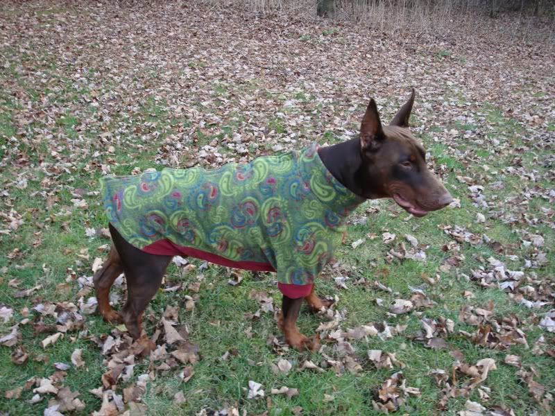 Fido fleece 2024 size 20