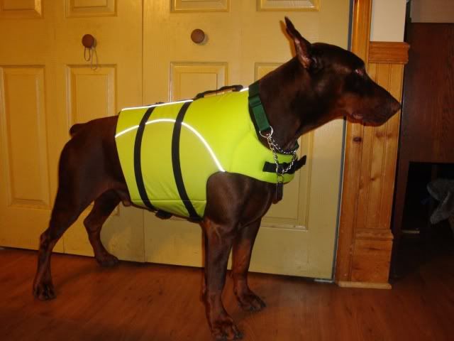 Life-jacket.jpg