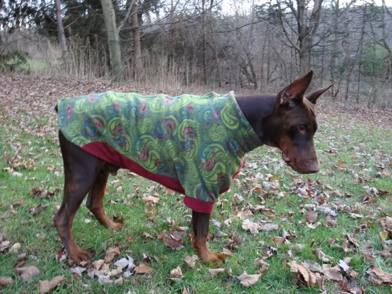 fidofleece.jpg