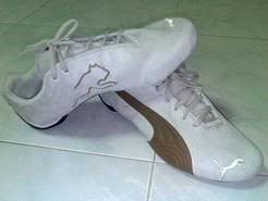 My New Puma Shoe!! ^^