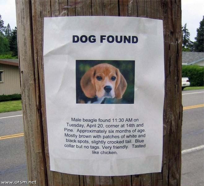 dogfound.jpg