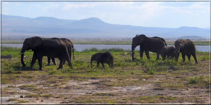 IMAGE: http://i4.photobucket.com/albums/y105/superlucius/Kenya/326907656iFmuyO_ph.jpg