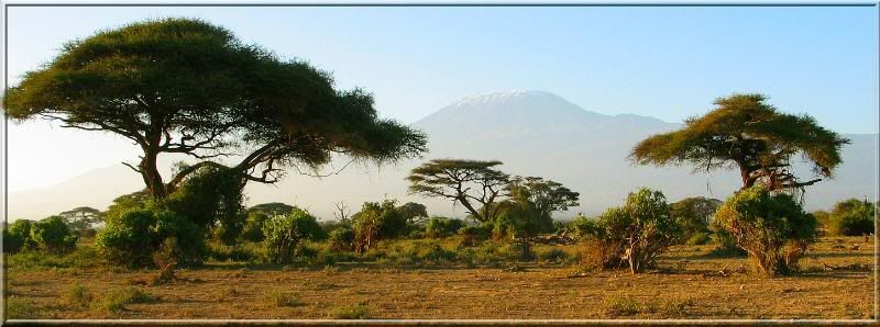 IMAGE: http://i4.photobucket.com/albums/y105/superlucius/Kenya/326907999xSHYVG_ph.jpg