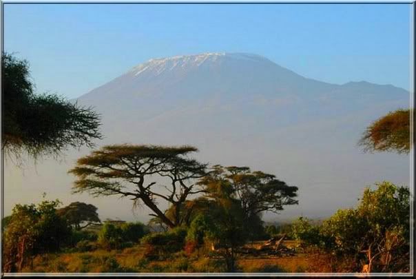 IMAGE: http://i4.photobucket.com/albums/y105/superlucius/Kenya/Savana.jpg