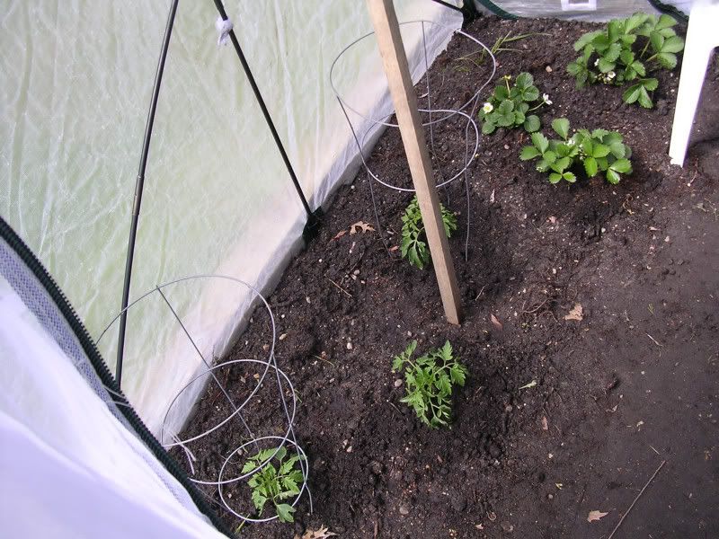 Photo Sharing and Video Hosting at Photobucket