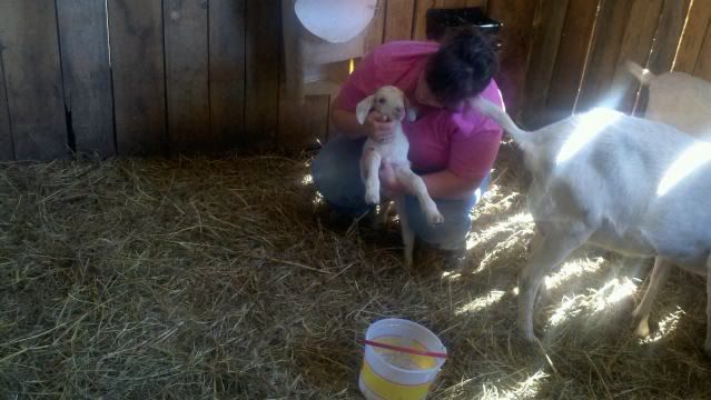 She's here....oh, Rechelle.... - Goats