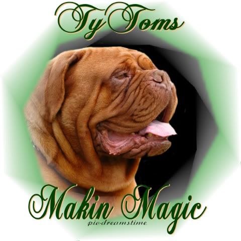 TyToms Makin Magic