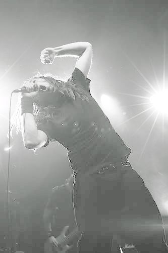 IMAGE: http://i4.photobucket.com/albums/y107/adozentipsyleprachauns/1830277609_f3352768ea.jpg