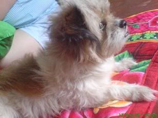 Photobucket - Video and Image Hosting