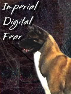 Imperial Digital Fear