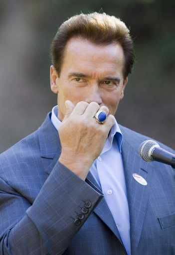 California Governor Arnold Schwarzenegger speaks to members of the media after casting his ballot at a polling place in Crestwood Hills Recreation Center in Los Angeles Pictures, Images and Photos