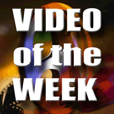 video of the week