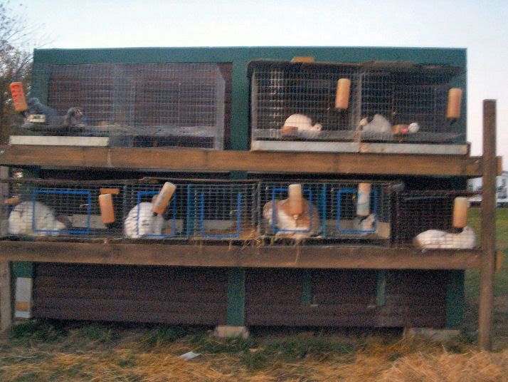 New Goat shed. - Homesteading Questions