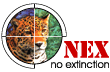 [.:: N E X .org.br- No Extinction::.]