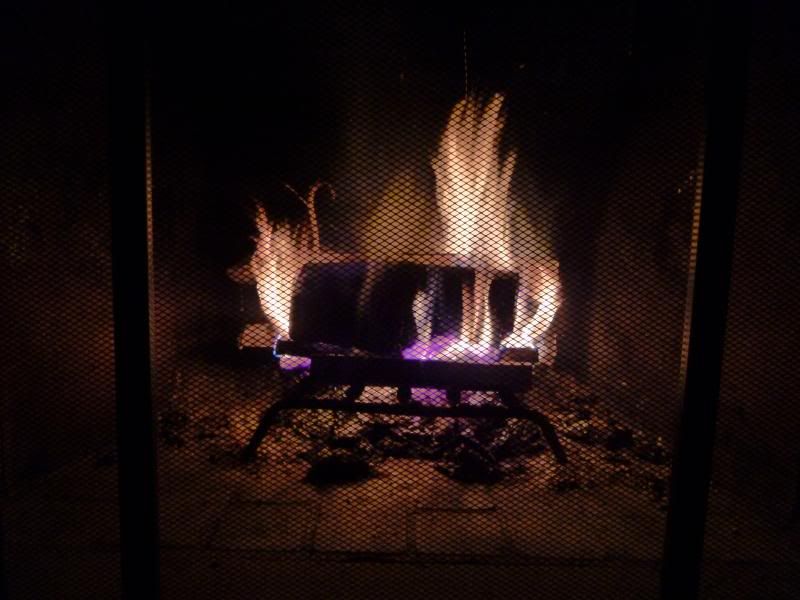 OT:  Cyber Warmth - Goats