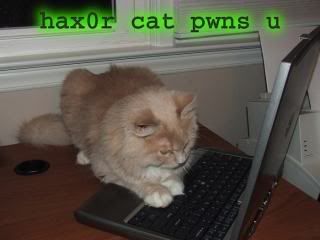 hax0r-cat.jpg
