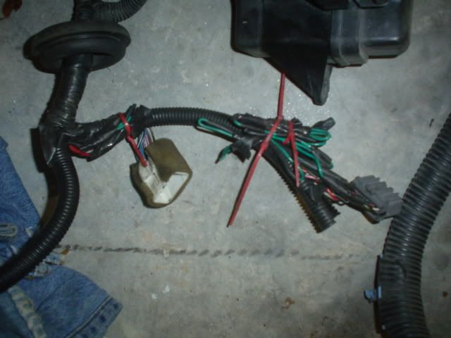 FS: JDM Gen 2 Body Harness