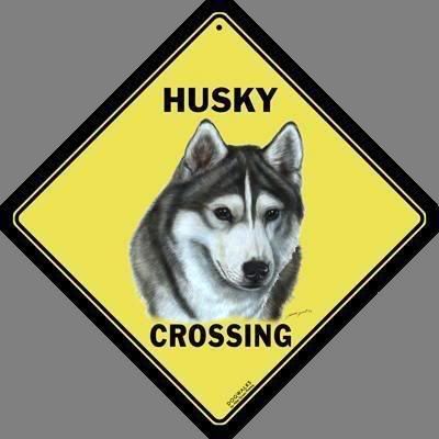 HuskyCrossing2.jpg