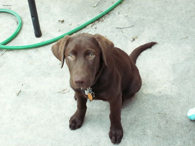 Photobucket Pictures, Images and Photos