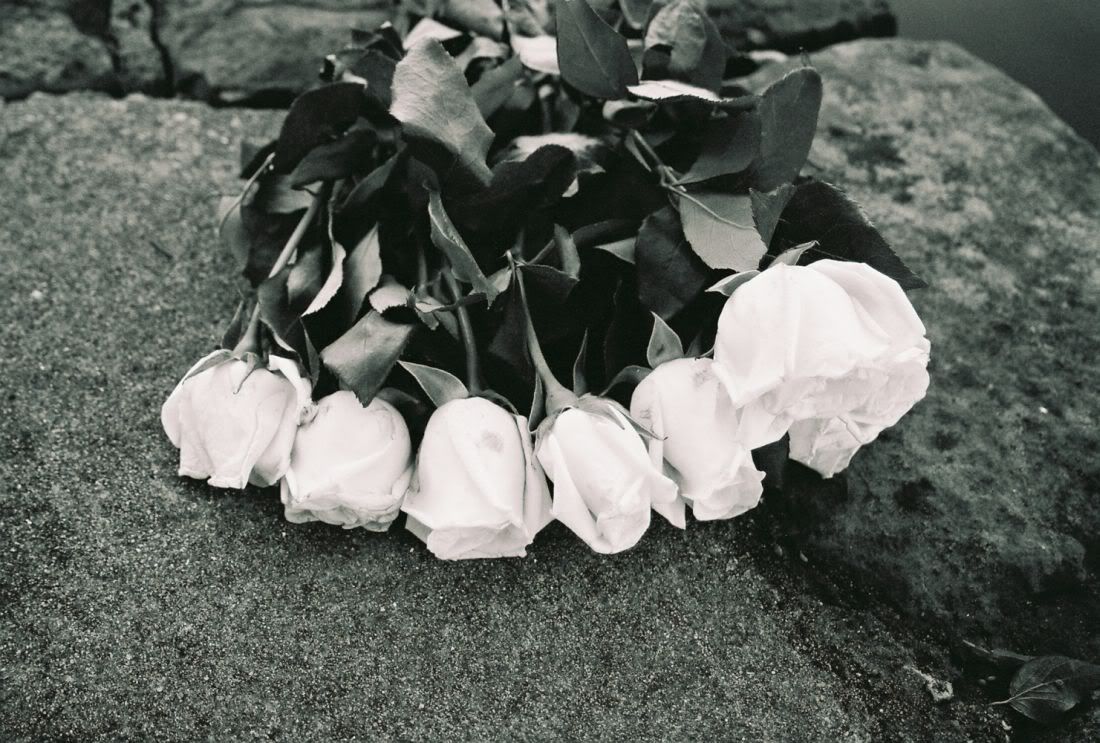 Gl Resimleri (4. Katalog)