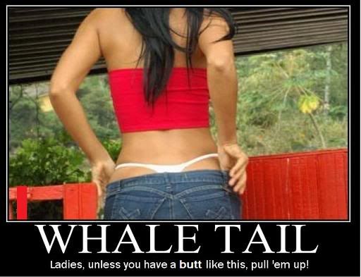 Whaletail.jpg