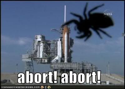funny-pictures-nasa-launch-abort-sp.jpg