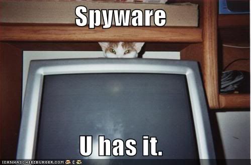 funny-pictures-spyware-cat-computer.jpg