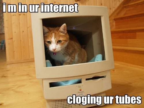 i-m-in-ur-internet-cloging-ur-tubes.jpg