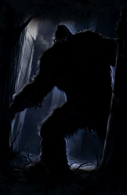 photo YETI-1_zps867d7c7b.jpg