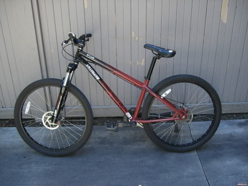 2006 specialized p2