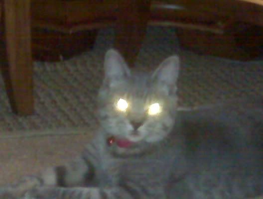 IMAGE: http://i4.photobucket.com/albums/y116/skrim/IMG00161.jpg