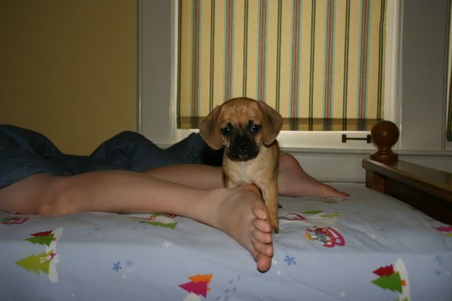 IMAGE: http://i4.photobucket.com/albums/y116/skrim/IMG_0010a.jpg