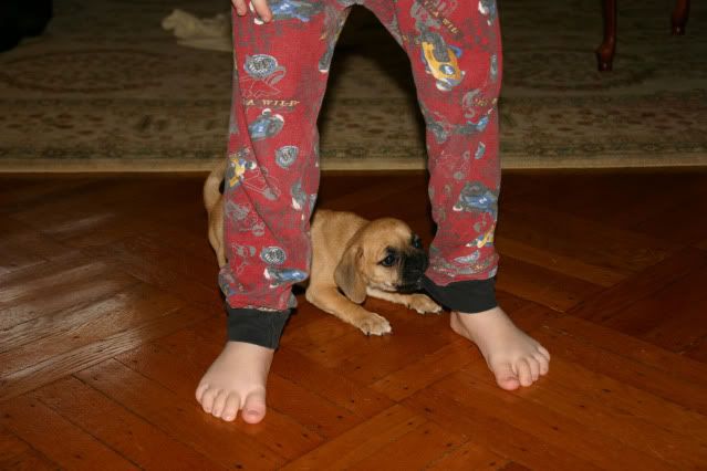 IMAGE: http://i4.photobucket.com/albums/y116/skrim/IMG_0015a.jpg