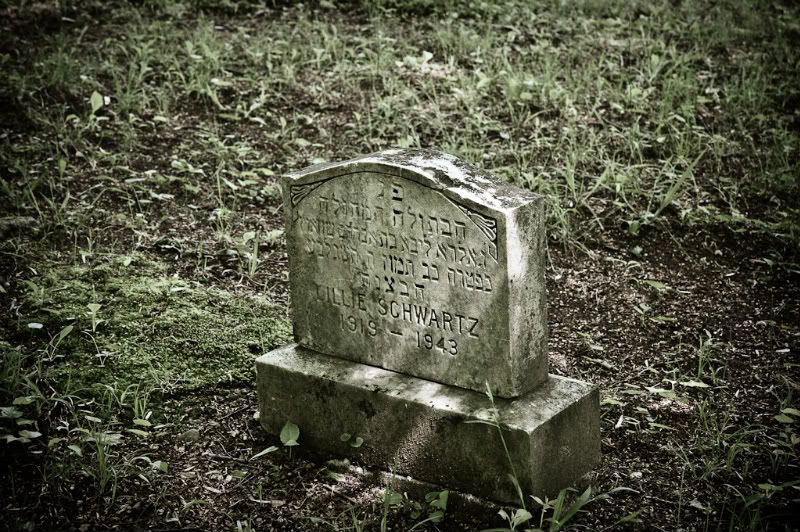 IMAGE: http://i4.photobucket.com/albums/y116/skrim/IMG_0330.jpg