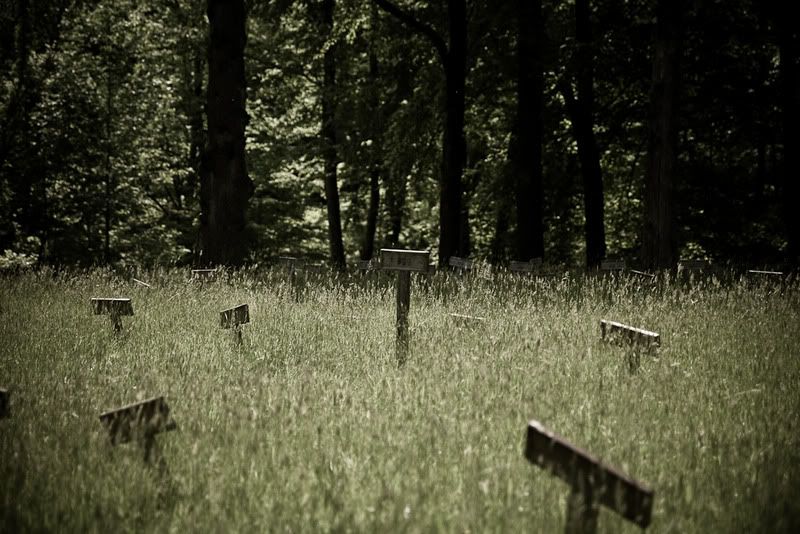 IMAGE: http://i4.photobucket.com/albums/y116/skrim/IMG_0369.jpg