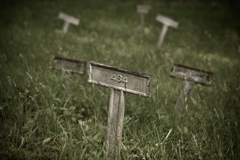 IMAGE: http://i4.photobucket.com/albums/y116/skrim/IMG_0393.jpg