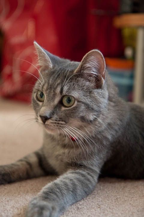 IMAGE: http://i4.photobucket.com/albums/y116/skrim/IMG_9377.jpg