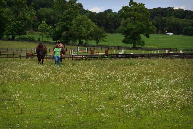 IMAGE: http://i4.photobucket.com/albums/y116/skrim/IMG_9453.jpg