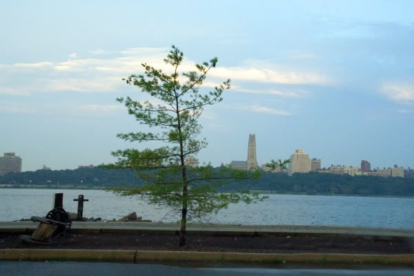 IMAGE: http://i4.photobucket.com/albums/y116/skrim/atree.jpg