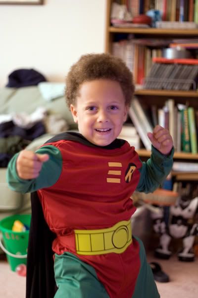 IMAGE: http://i4.photobucket.com/albums/y116/skrim/boywonder.jpg