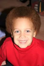 IMAGE: http://i4.photobucket.com/albums/y116/skrim/elired2.jpg