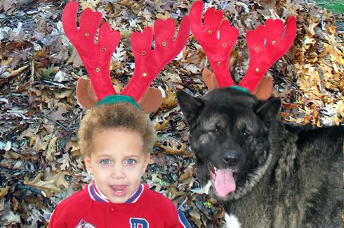 IMAGE: http://i4.photobucket.com/albums/y116/skrim/enjem.jpg