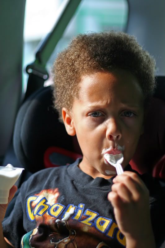 IMAGE: http://i4.photobucket.com/albums/y116/skrim/icecream2.jpg